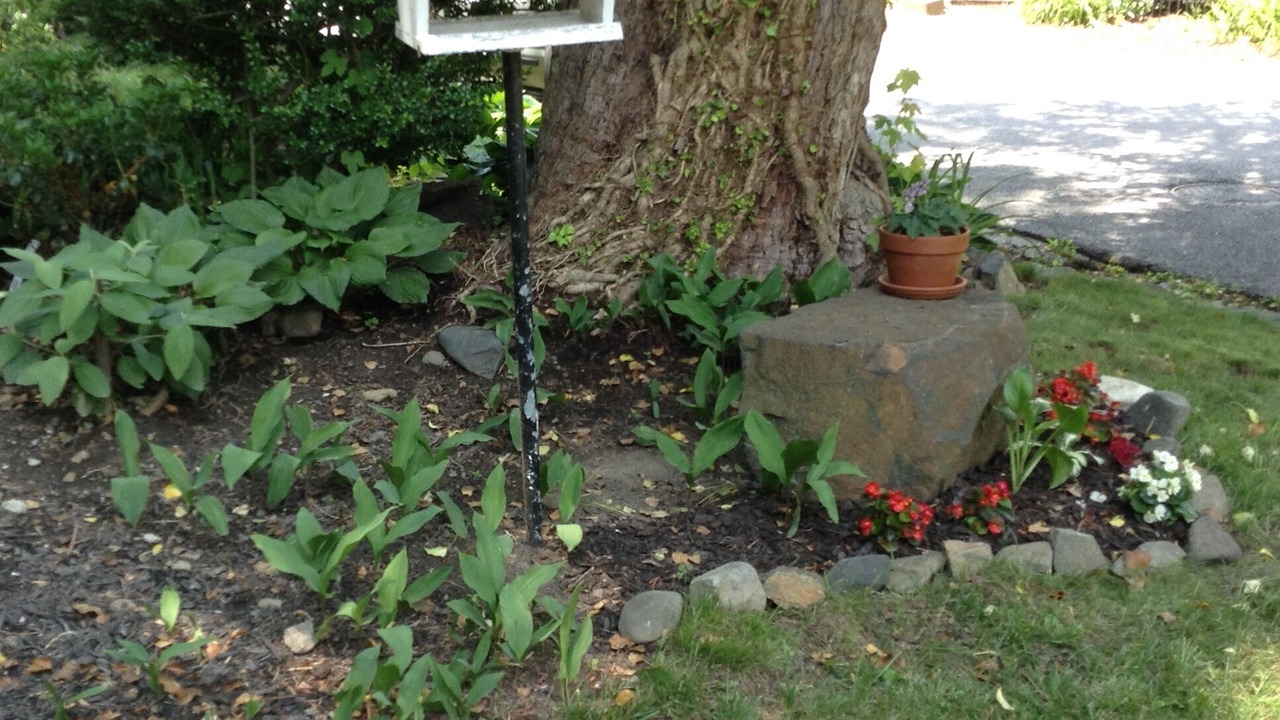Photo of Outdoor in Dickeyville
