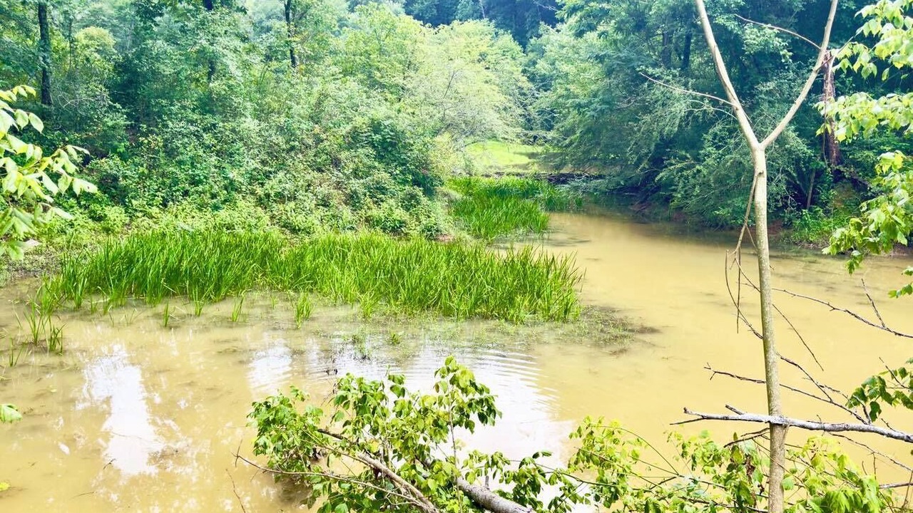 Photo of Outdoor in Albertville