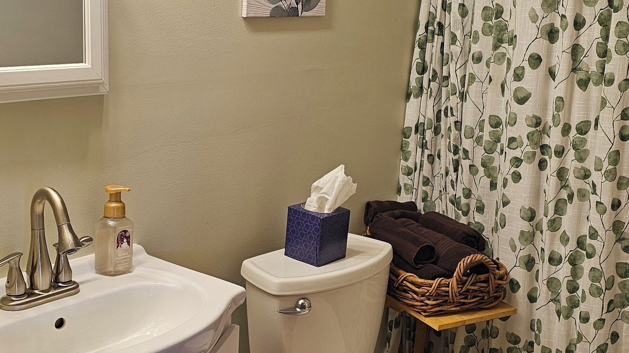 Photo of Bathroom in Palmyra
