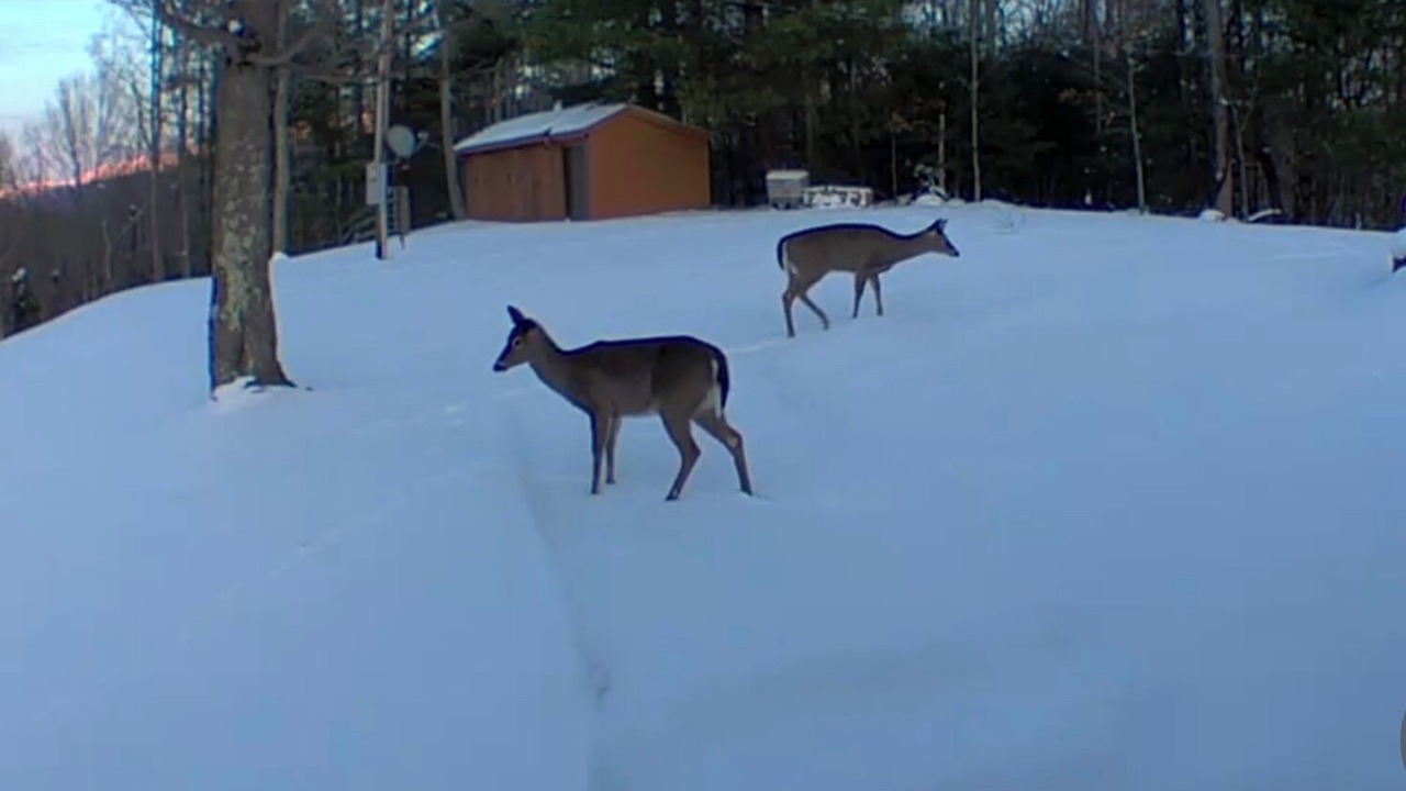 Photo of Others in Butler