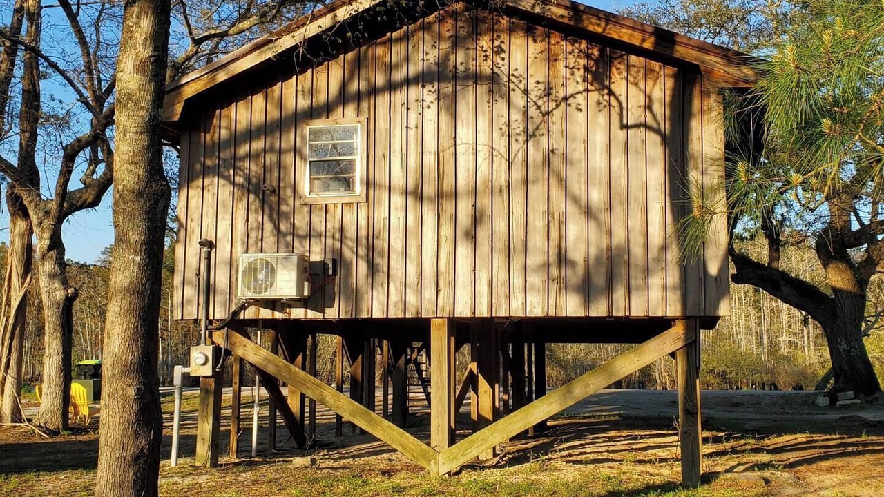 Photo of Others in Ash
