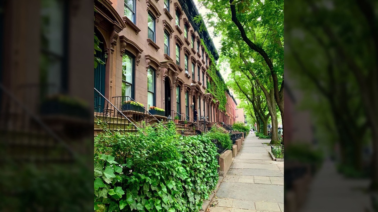 Photo of Outdoor in Clinton Hill