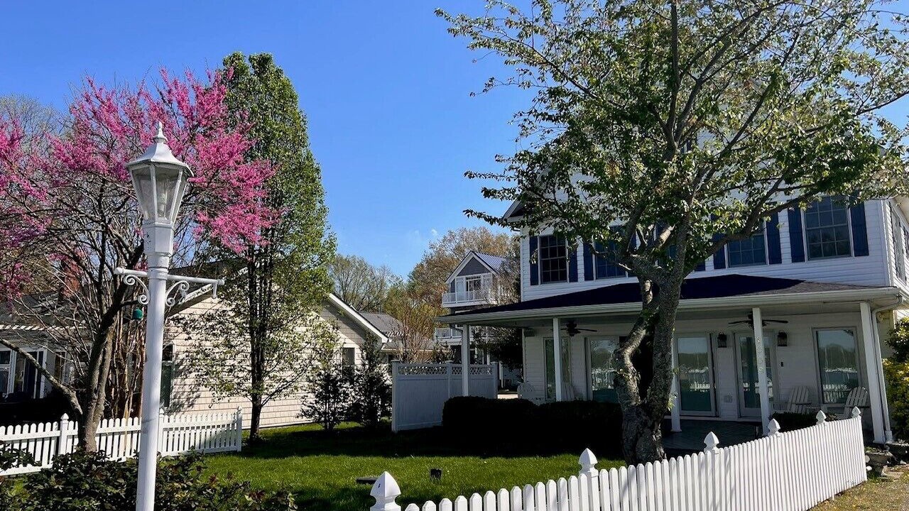Photo of Outdoor in Croom