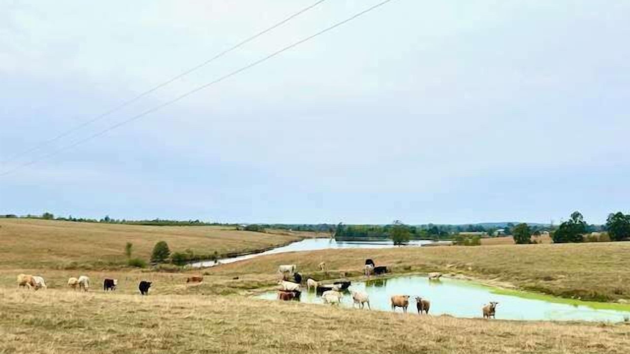 Photo of Others in Valley Head