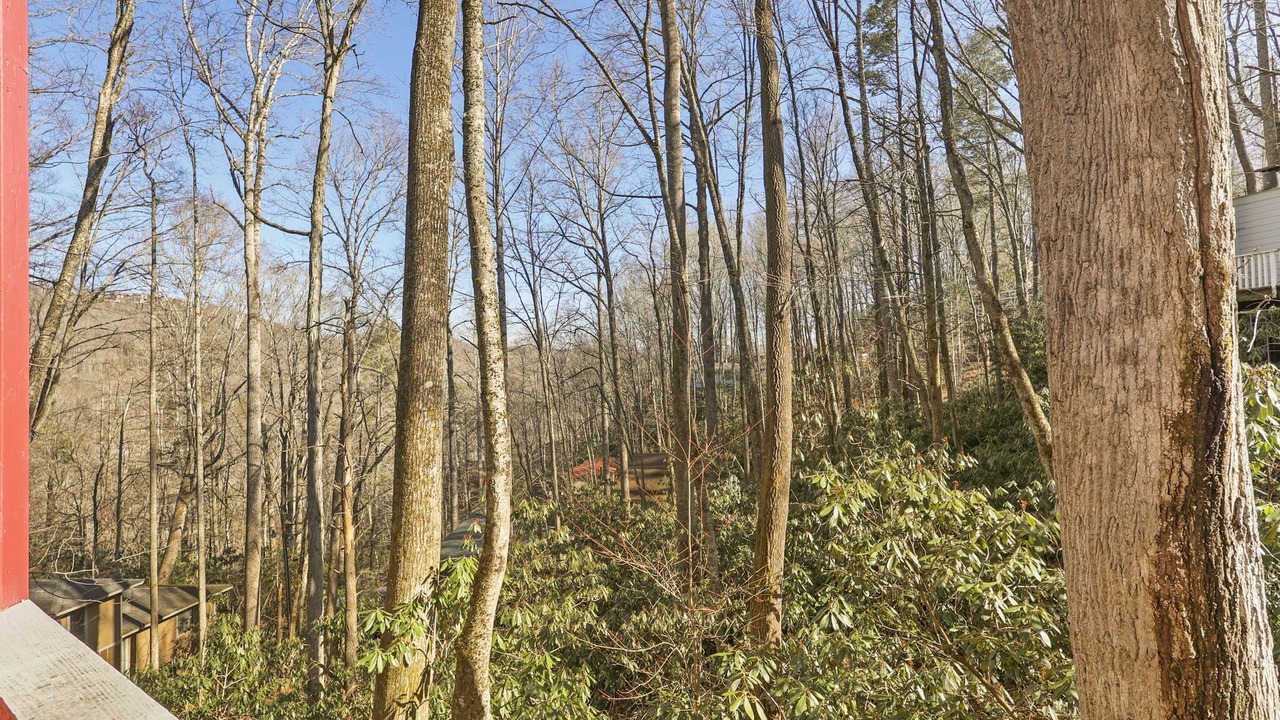 Photo of Outdoor in Mill Ridge