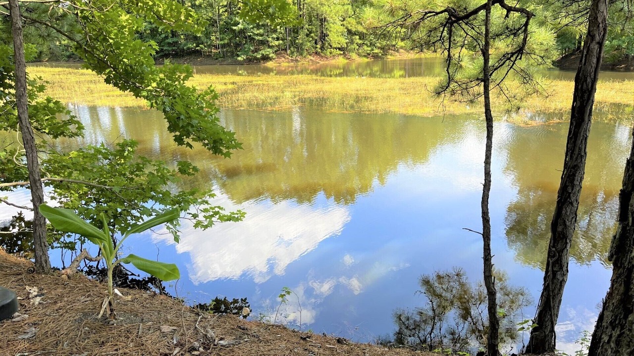 Photo of Outdoor in Sumter