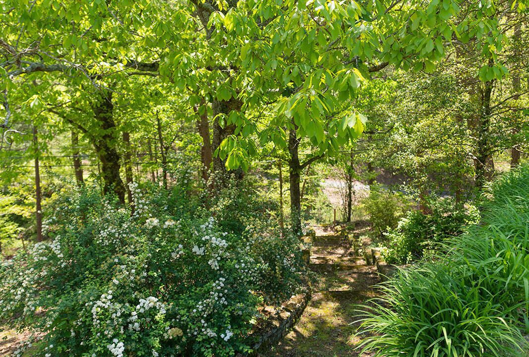 Photo of Outdoor in Menlo