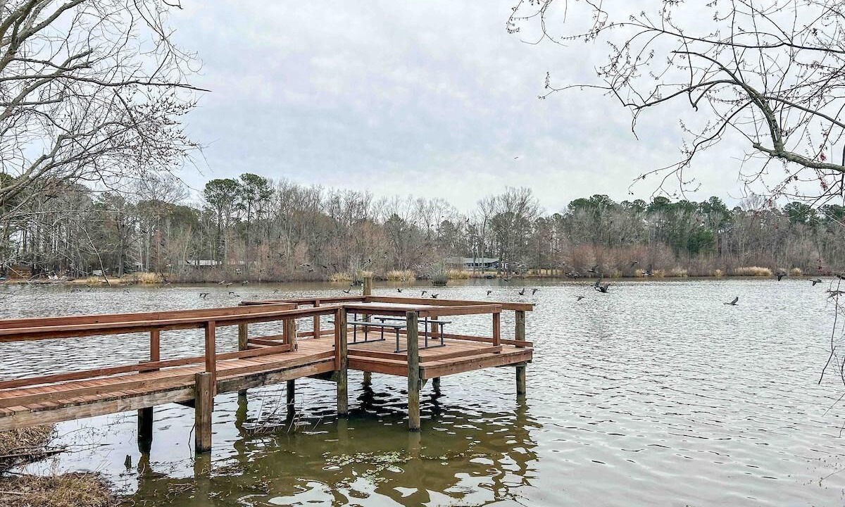 Photo of Outdoor in Summerton