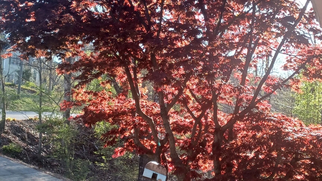 Photo of Outdoor in Cartersville