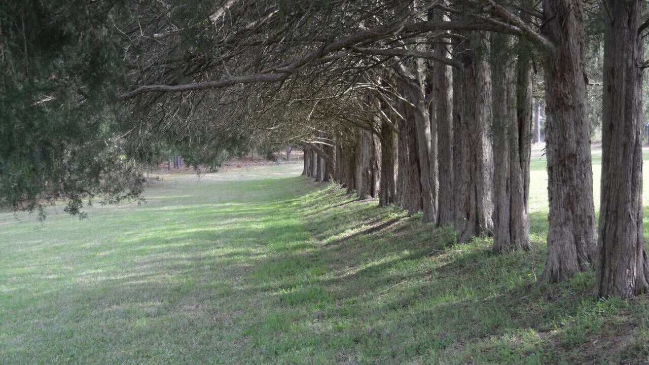 Photo of Others in Kipling