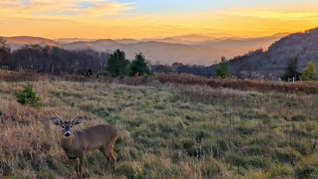 Photo of Others in Banner Elk