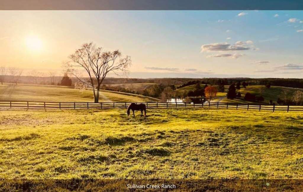 Photo of Outdoor in Vinemont