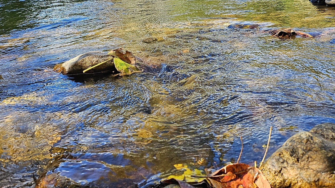 Photo of Others in Bakersville