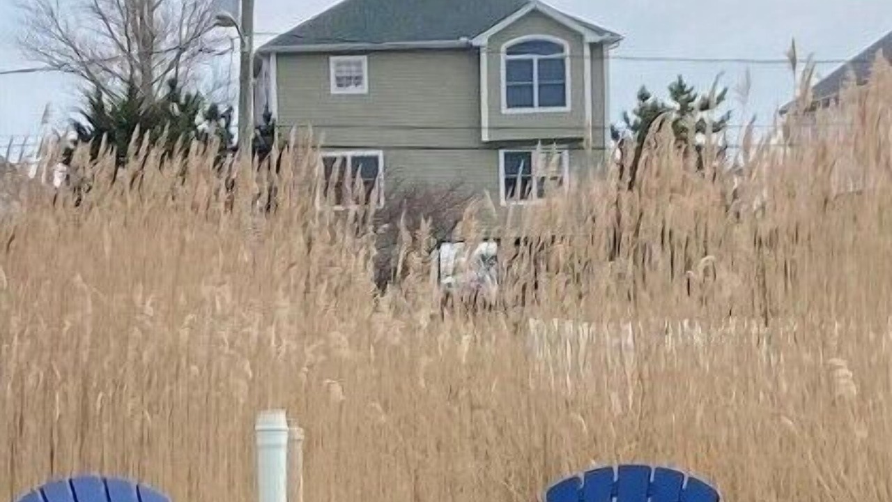 Photo of Outdoor in Bowers Beach