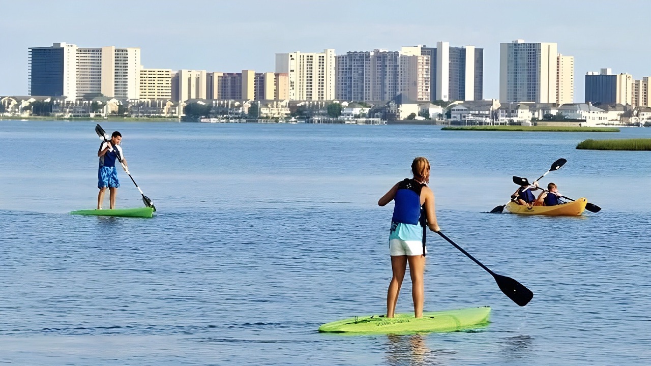 Photo of Others in Bayside