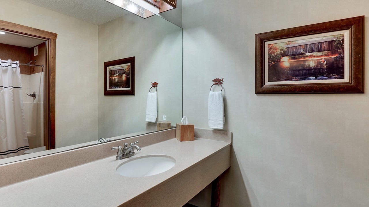 Photo of Bathroom in Johnston