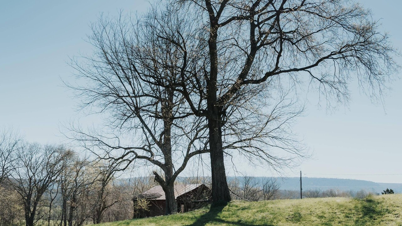 Photo of Outdoor in Rising Fawn