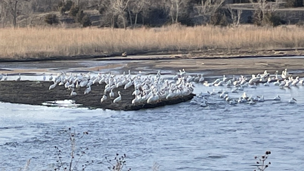 Photo of Others in Cuming County