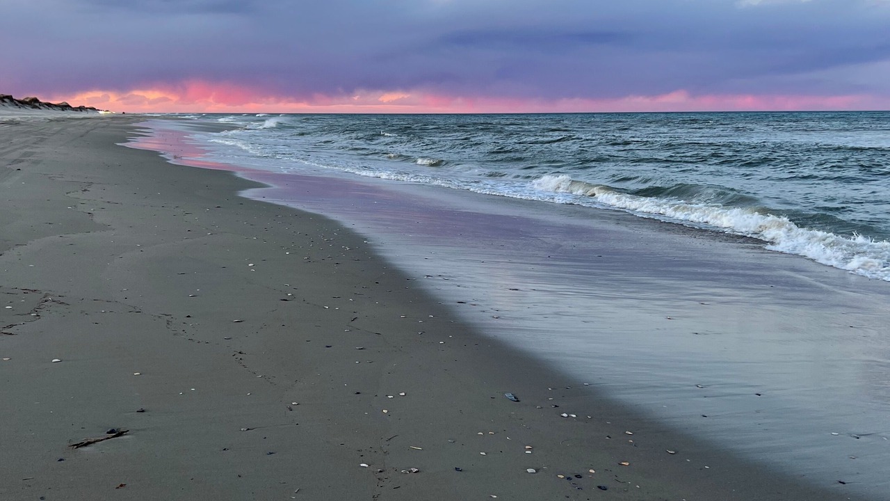 Photo of Others in Carova Beach