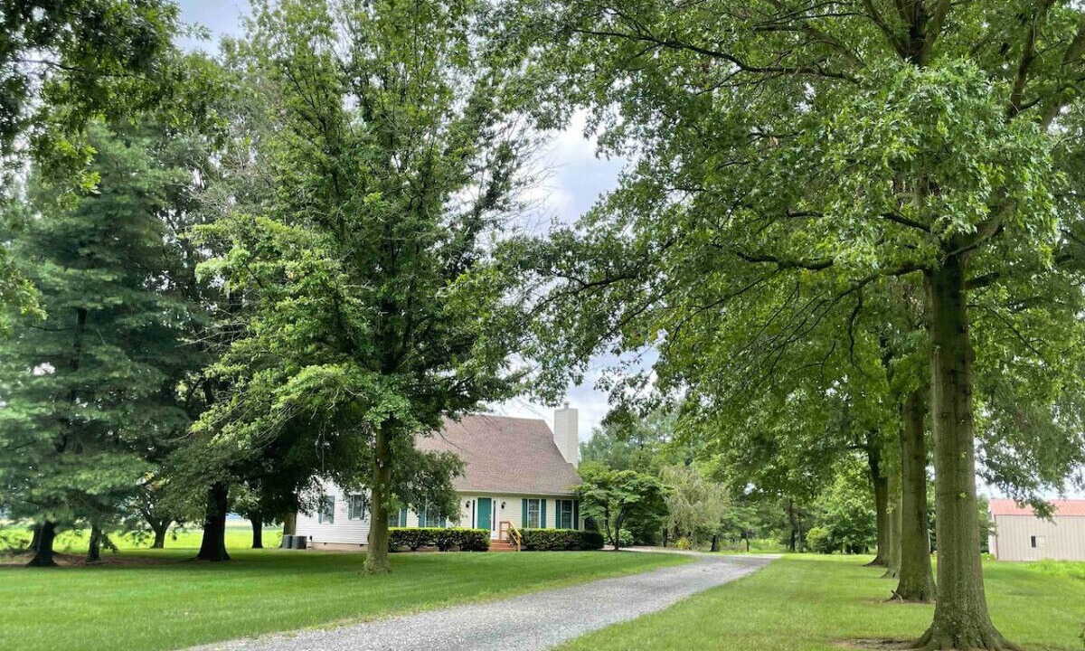 Photo of Outdoor in Galena