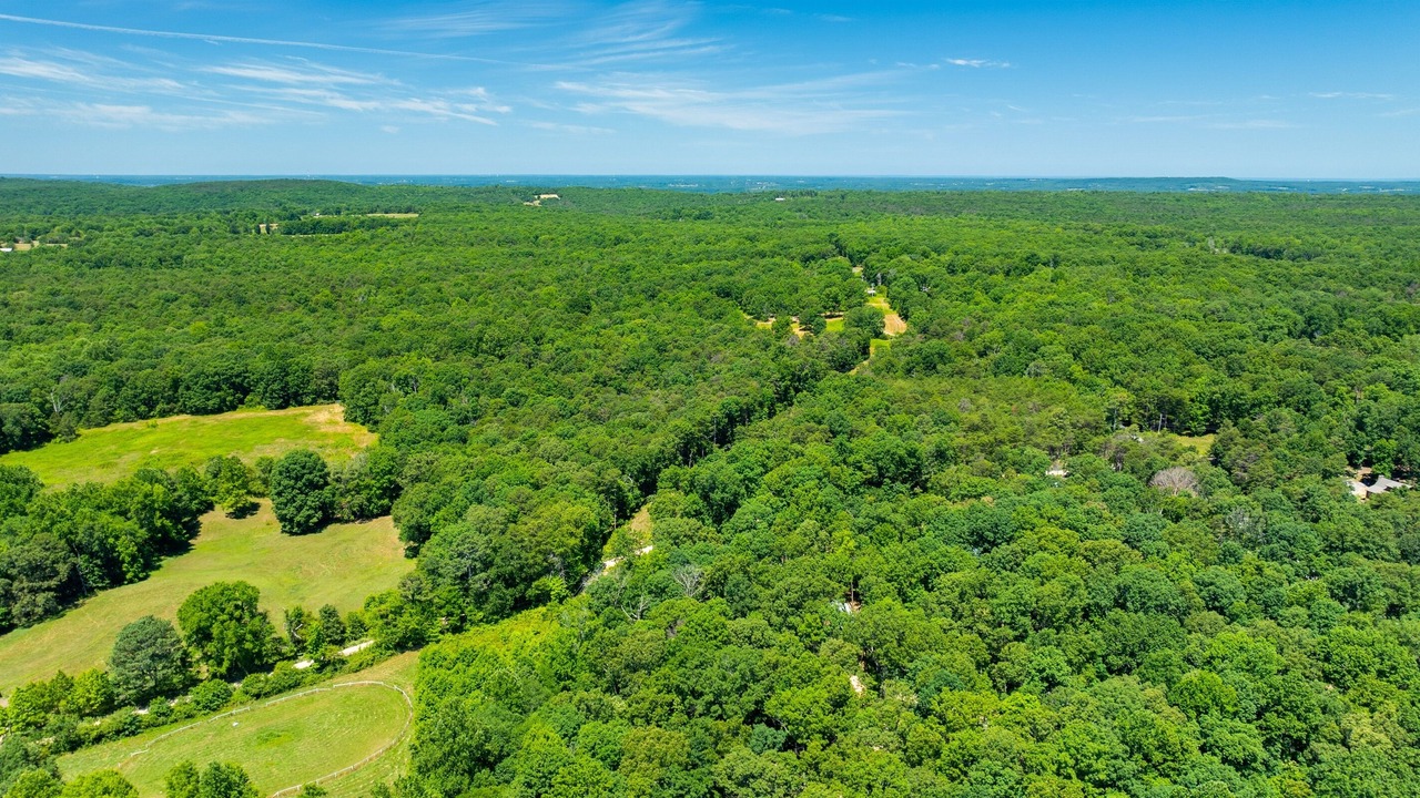 Photo of Outdoor in Mentone