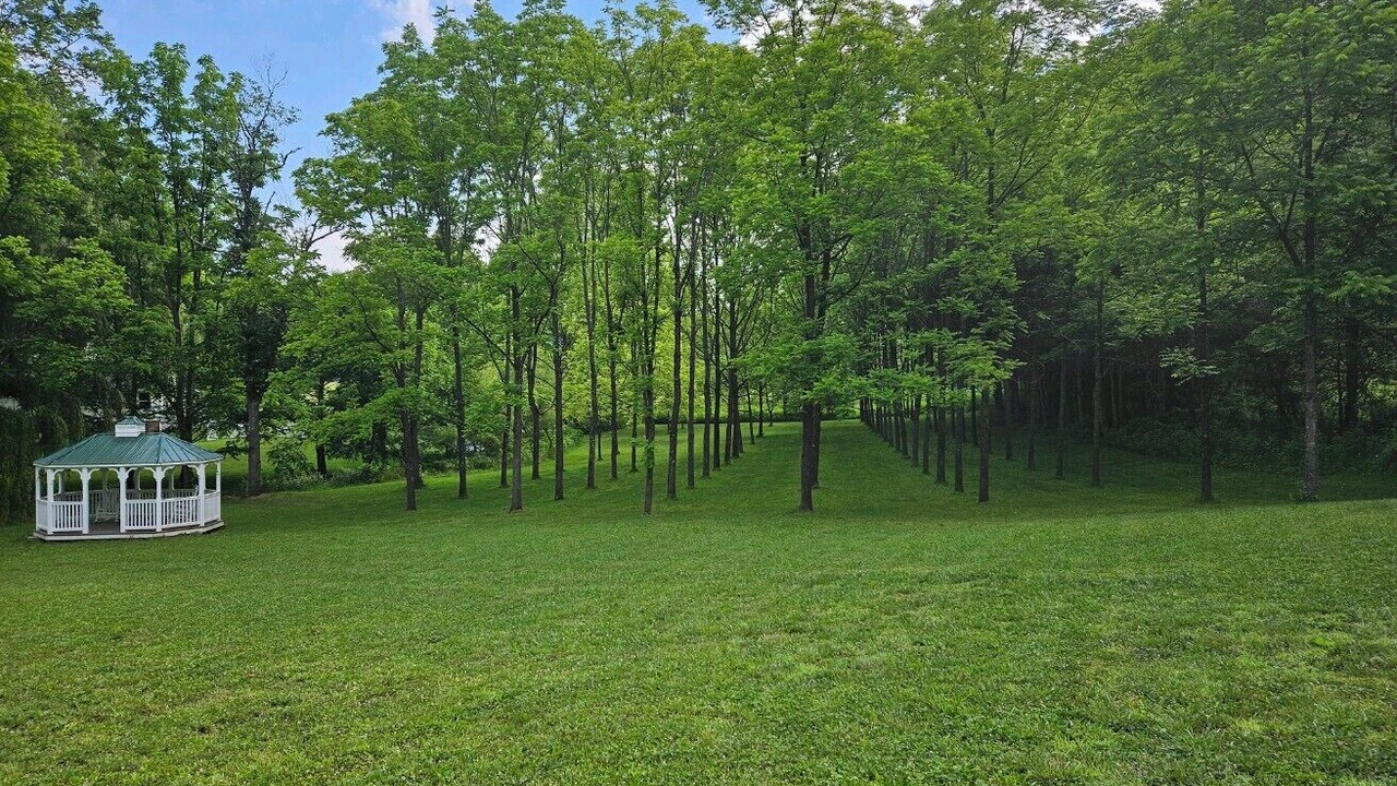 Photo of Outdoor in Butler