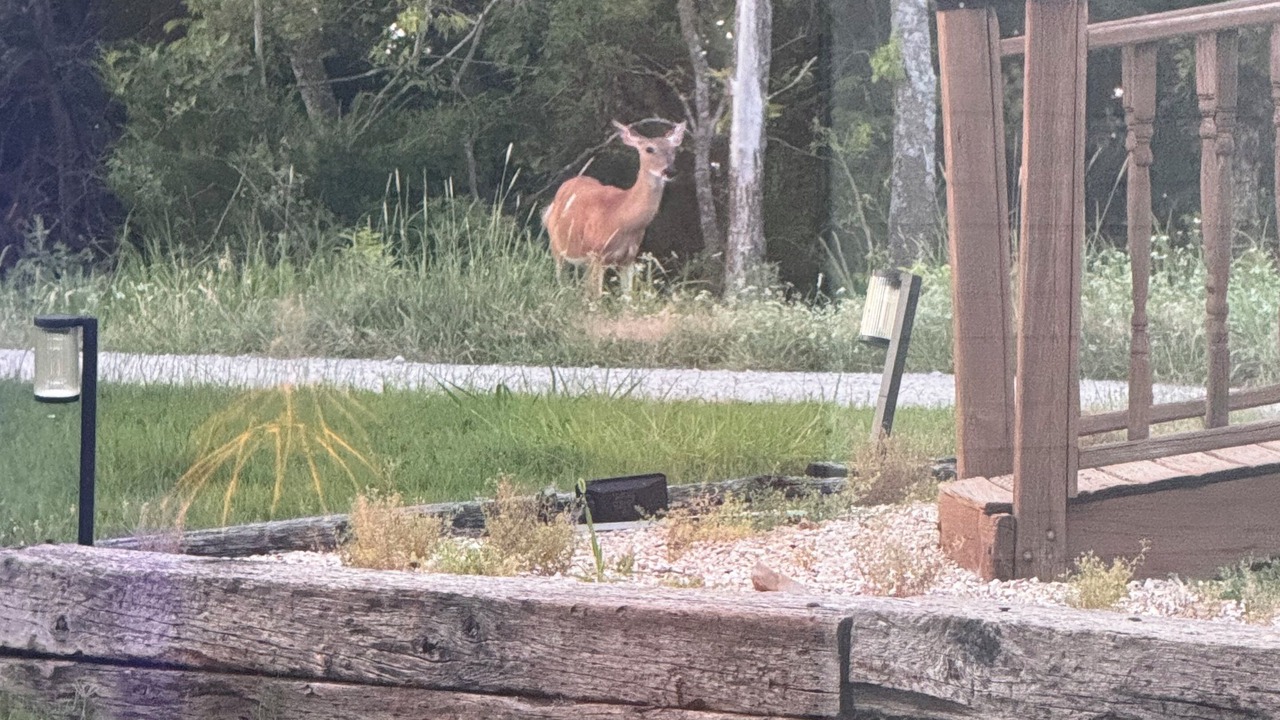 Photo of Outdoor in Claremore