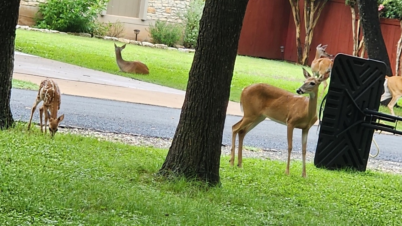 Photo of Outdoor in Georgetown