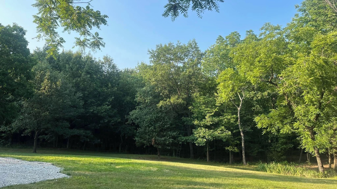 Photo of Outdoor in Florida