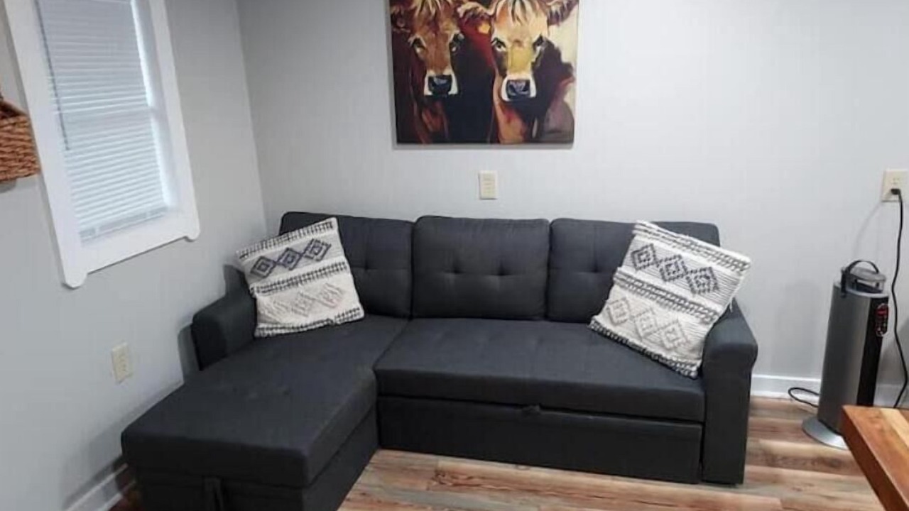 Photo of Livingroom in Shelbyville