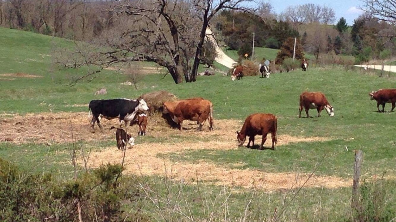 Photo of Others in Kent