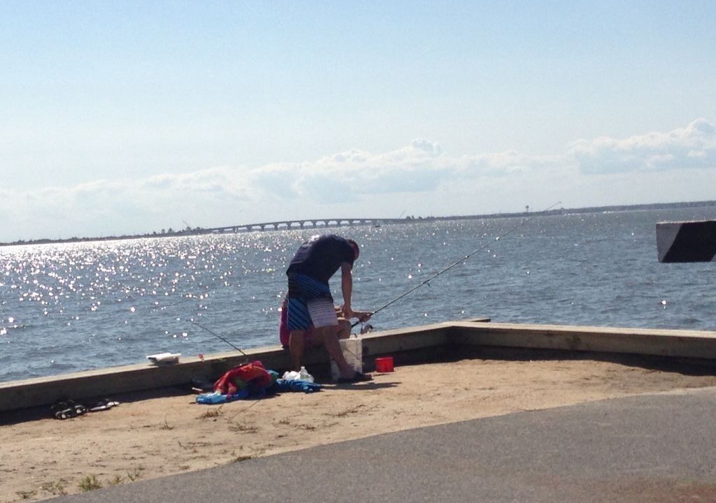 Photo of Others in Surf City