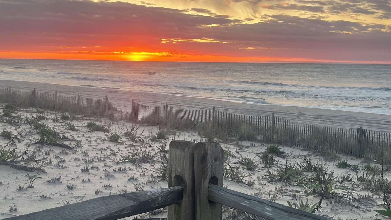 Photo of Others in Surf City