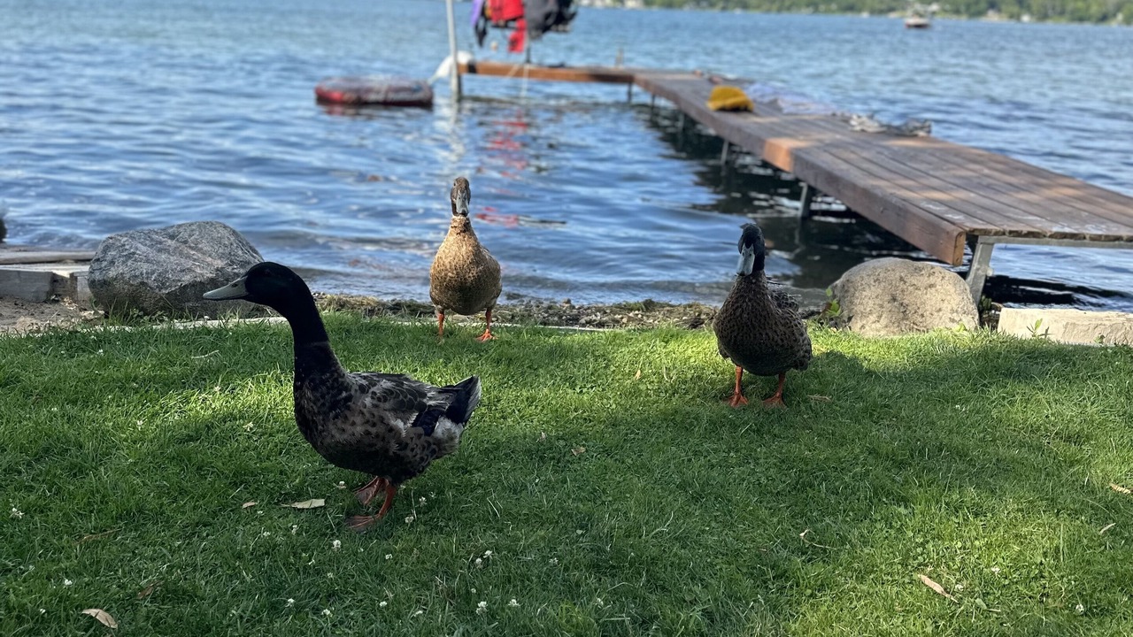 Photo of Others in Round Lake