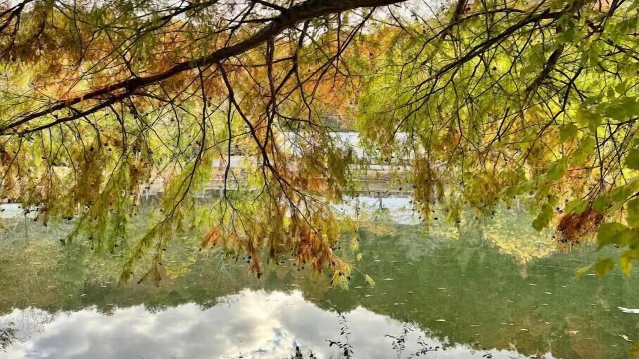 Photo of Outdoor in Albertville