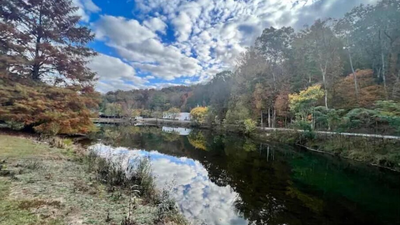 Photo of Outdoor in Albertville