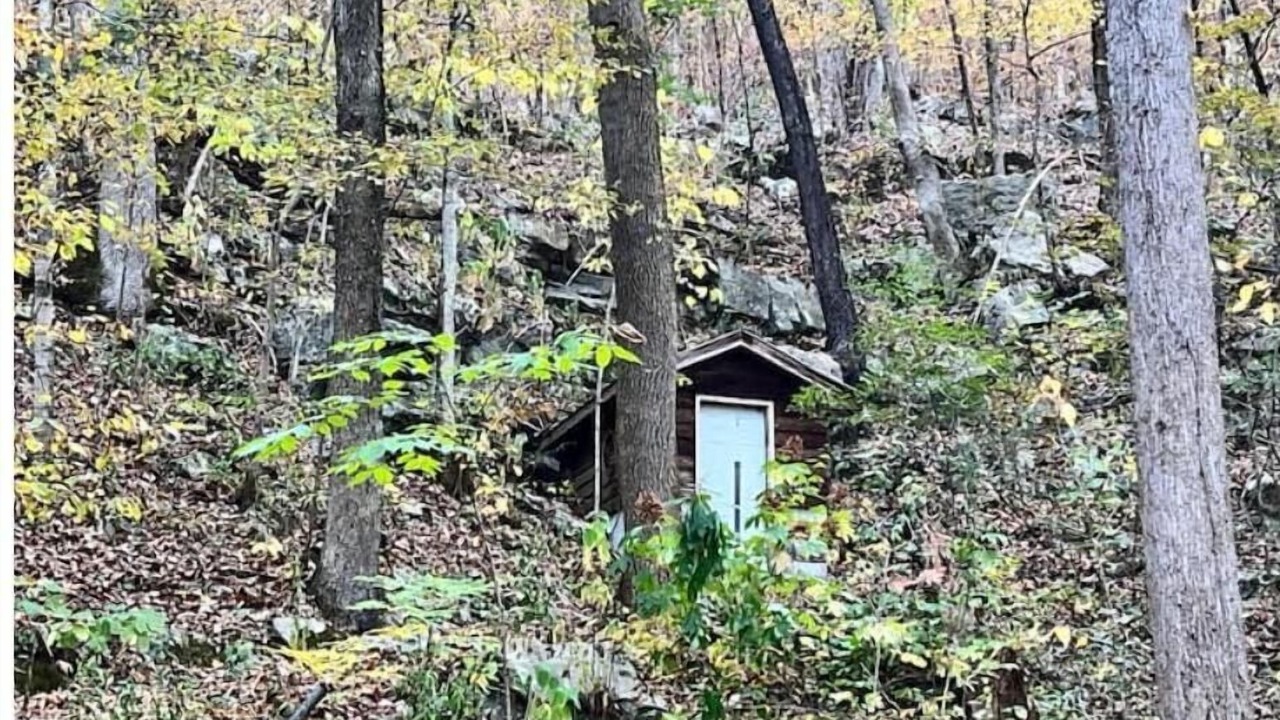 Photo of Outdoor in Albertville
