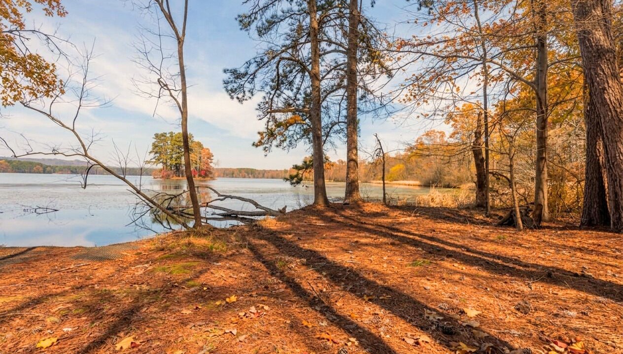 Photo of Outdoor in Guntersville