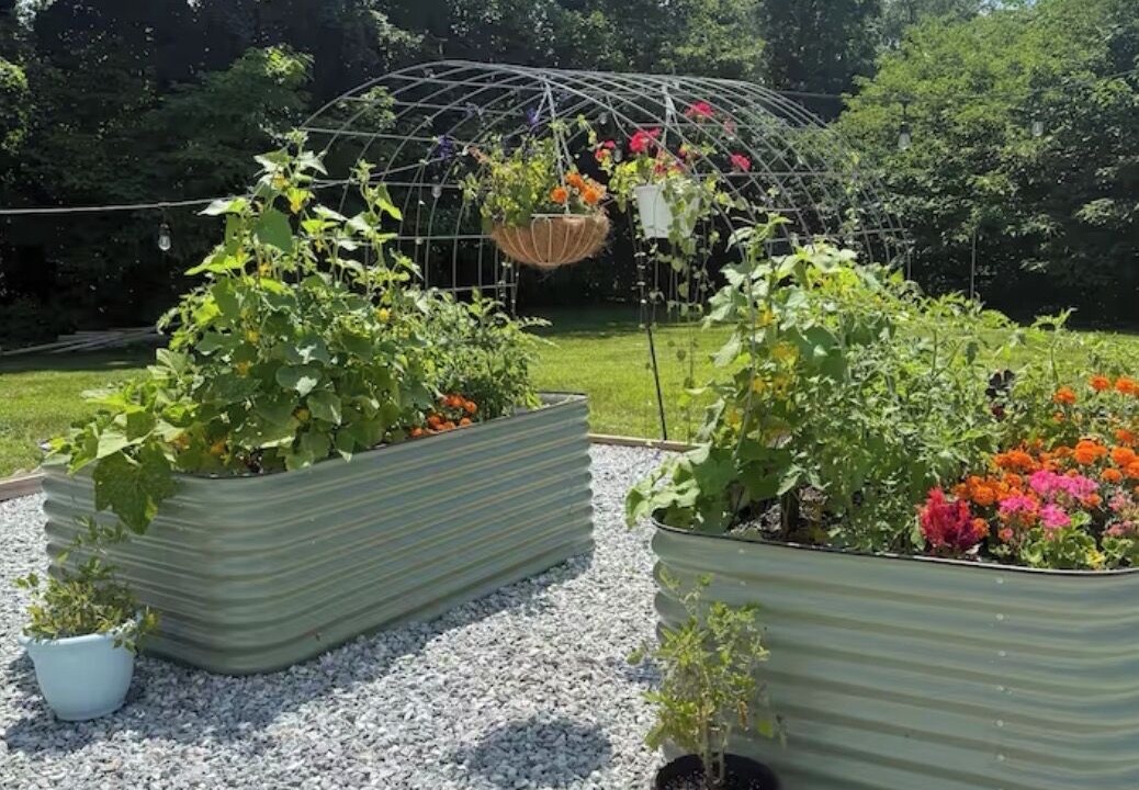Photo of Outdoor in Clayton