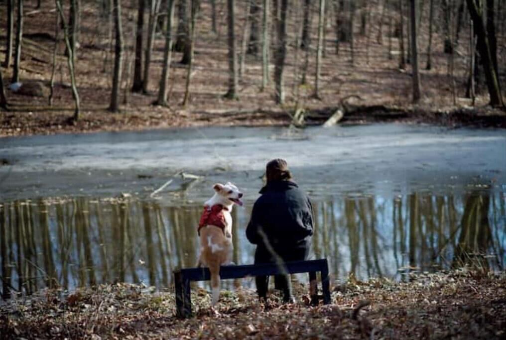 Photo of Others in Dickerson