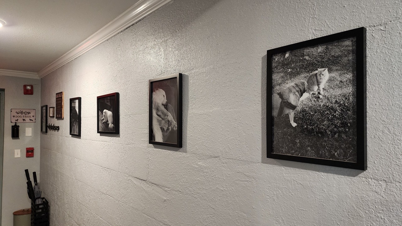 Photo of Others in Rock Spring