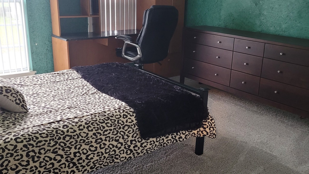 Photo of Bedroom in Algonquin