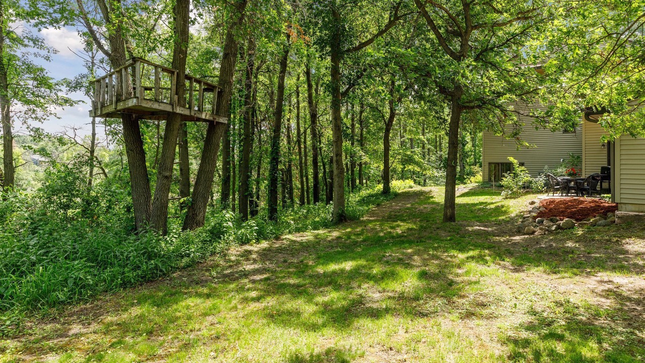 Photo of Outdoor in Webster