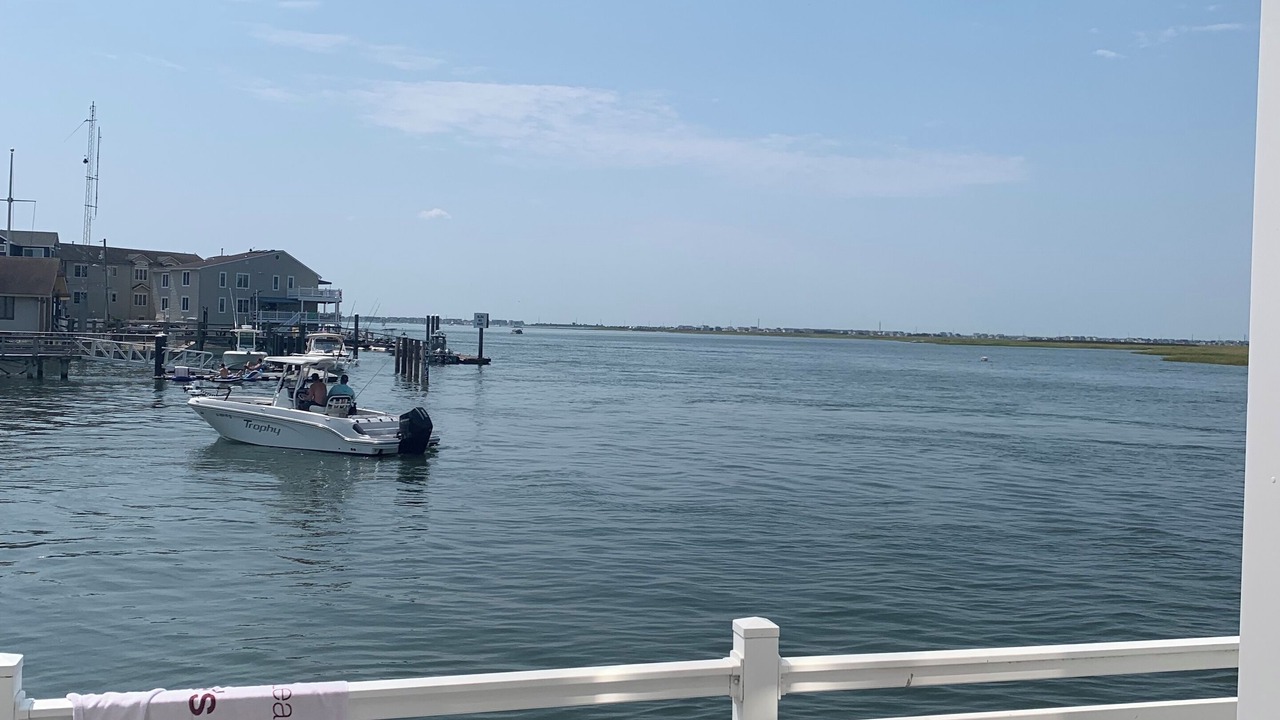 Photo of Outdoor in Townsend's Inlet