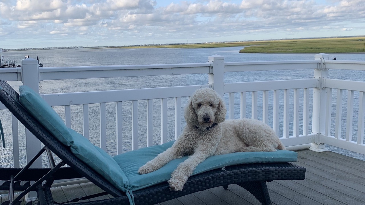 Photo of Outdoor in Townsend's Inlet