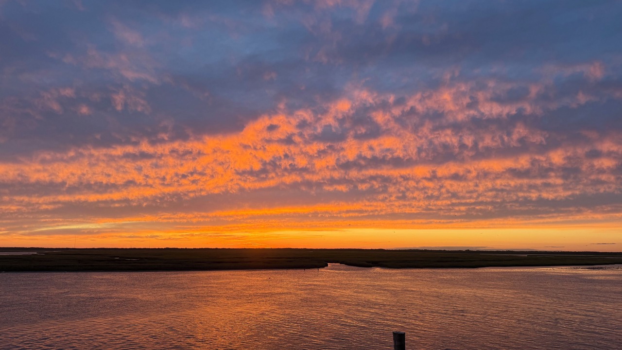 Photo of Others in Townsend's Inlet