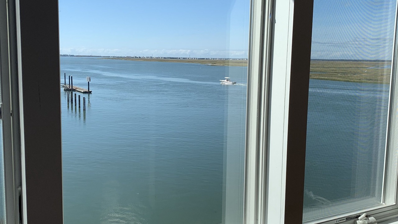 Photo of Others in Townsend's Inlet