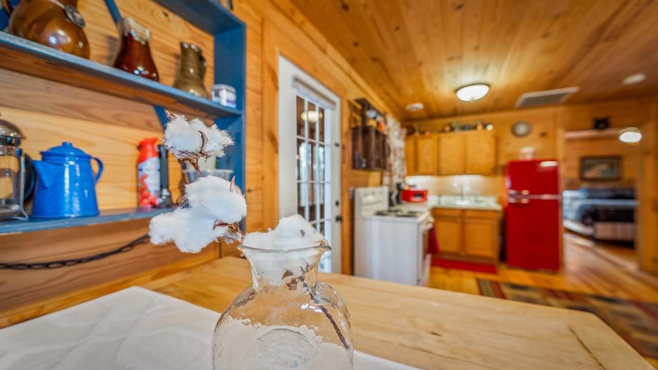 Photo of Kitchen in Mentone