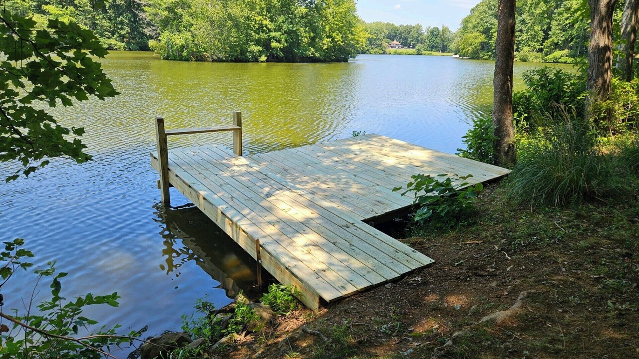 Photo of Others in Livingston