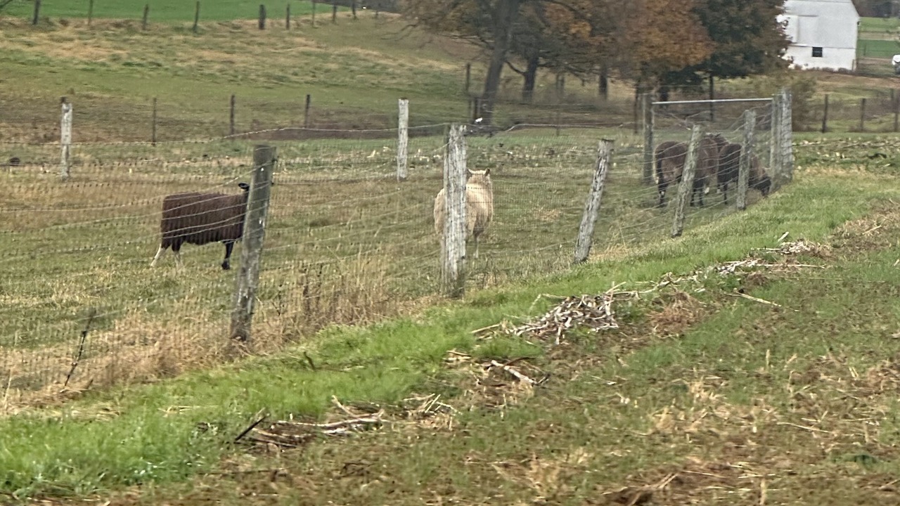Photo of Outdoor in Richwood
